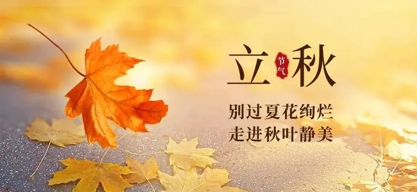 微信图片_2025-08-12_155621_377